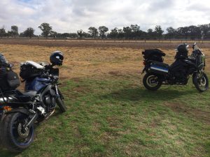 West Wyalong Showgrounds campsite