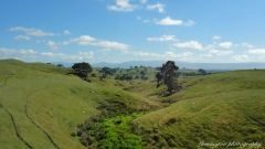 DSC03564